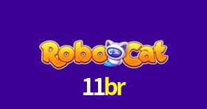 11br App Interface